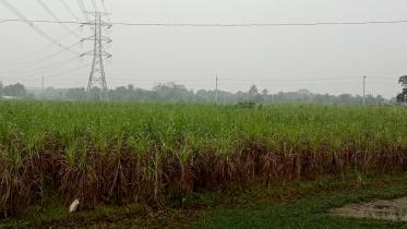 pabna-photo-1.jpg