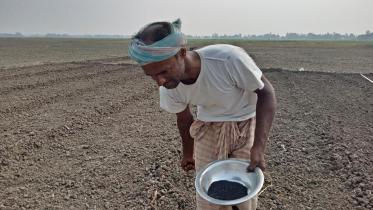 Pabna_Onion_4Dec20.jpg