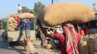 Patuakhali aman.jpg