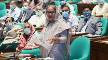 pm pid 296.jpg