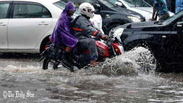 Rains