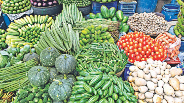 vegetable-growers-anxiety.jpg