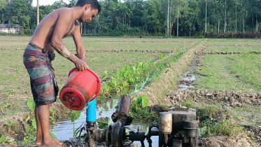 lalmonirhat_farmers.jpg
