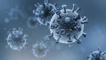 coronavirus_collected_0_0.jpg