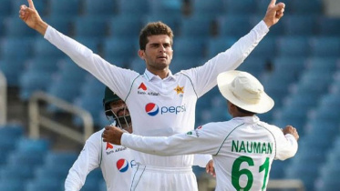 shaheen shah afridi
