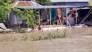 tangail_flood_picture-2.jpg