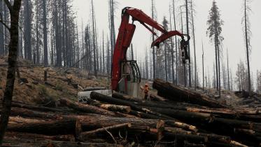 deforestation_2.jpg