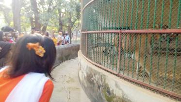 dhaka zoo.jpg
