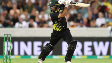 glenn maxwell