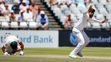 amir_cricket.jpg
