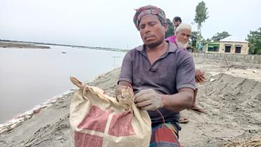 lalmonirhat_erosion_victim-01.jpg