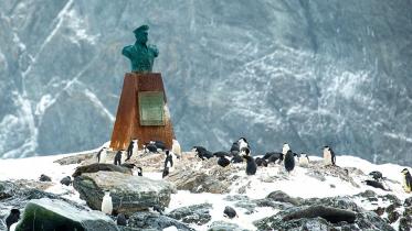 _125723381_penguins.jpg