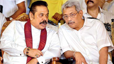 rajapakshey_ds_collected.jpg