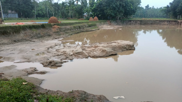 lalmonirhat_al_leader_pond-02_1.jpg
