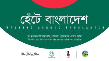 হেঁটে বাংলাদেশ