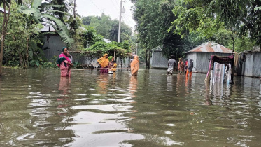 পানিবন্দি