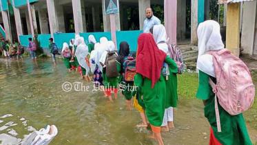 পটুয়াখালী স্কুল