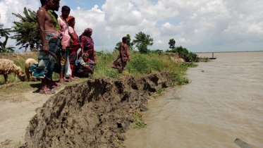 faridpur_river_erosion_picture-03.jpeg