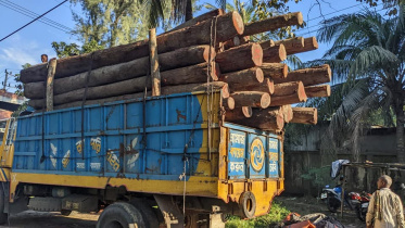 truck_timber.jpg