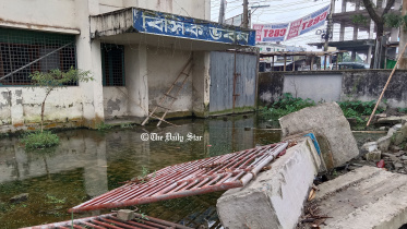 জামালপুর বিবিক