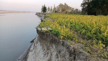 lalmonirhat_erosion-03.jpg