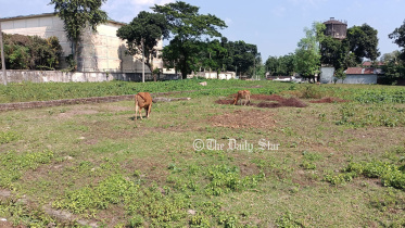 প্লট ফাঁকা : লালমনিরহাট বিসিক শিল্পনগরী: ১০৭ প্লটের মধ্যে ৩২ বছরে চালু ৬১