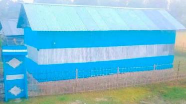 আর্জেন্টিনার পতাকার রং