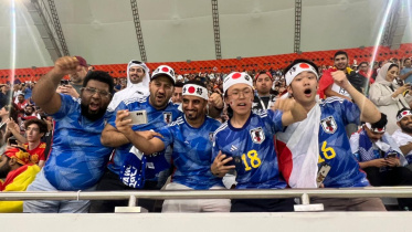 World Cup Football Fan