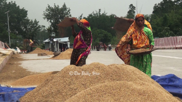 চালের দাম