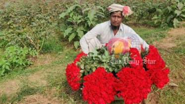 গোলাপগ্রাম, সাভার, গোলাপ,