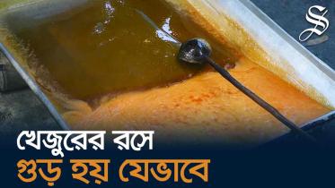 খেজুরের গুড়