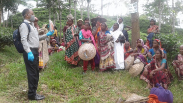 মৌলভীবাজারে কুষ্ঠ রোগীদের ৯৮ শতাংশ চা শ্রমিক পরিবারের 