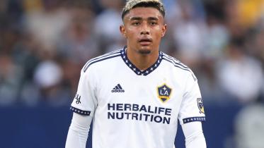 araujo.jpg