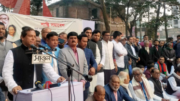 আওয়ামী লীগ, মির্জা আজম, বিএনপি,