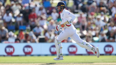 stokes.jpg