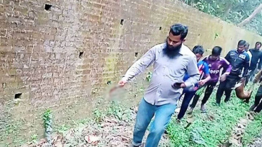 মৌলভীবাজারের শ্রীমঙ্গল উপজেলায় ট্রেনের ইঞ্জিনরুম থেকে বস্তাবন্দি অবস্থায় একটি গলাকাটা হরিণ উদ্ধারের ৩ দিন পেরিয়ে গেলেও এ ঘটনায় কোনো মামলা হয়নি। চিহ্নিত করা হয়নি জড়িত কাউকেও।