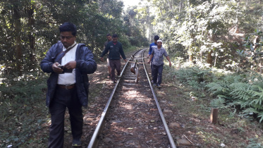 moulvibazar_wildlife_killing_in_lawachara_rail_track_pic_4.jpg