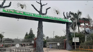 গাজীপুরের বঙ্গবন্ধু শেখ মুজিব সাফারি পার্কে ১ বাঘিনী অসুস্থ