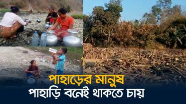 বন ধ্বংস, বান্দরবান, পাহাড়, জীববৈচিত্র্য,