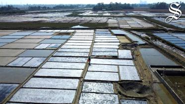 লবণ উৎপাদনে রেকর্ড