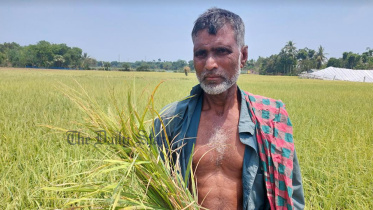 ঝিনাইদহ, বালিয়াডাঙ্গা, শিলাবৃষ্টি, ঝড়,