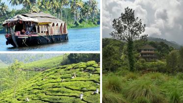 কেরালা, কোচি, আলেপ্পি, মুন্নার, থেক্কাডি, কোভালম, ওয়ানাড, ভ্রমণ,