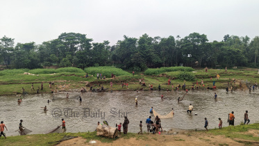 জাদুকাটায় মাছ শিকারের উৎসব