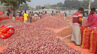 sujanagar_onion_haat_photo_of_last_month.jpg