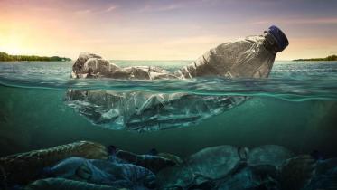 প্লাস্টিক যেভাবে পরিবেশ দূষণ করে