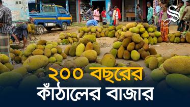 কাঁঠালের বাজার