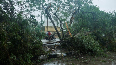 গুজরাটের কর্মকর্তারা গণমাধ্যমকে জানান, ভারী বৃষ্টিপাত ও ঝড়ো হাওয়ায় অন্তত ৫২৪টি গাছ ও বৈদ্যুতিক খুঁটি উপড়ে গেছে। ছবি: রয়টার্স