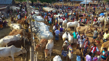 ঈদুল আজহা, কোরবানি, কোরবানির পশুর হাট, জাল নোট,