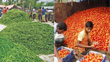 কৃষি মন্ত্রণালয়, কাঁচা মরিচ, টমেটো, আমদানি,
