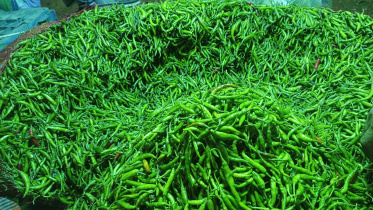 কাঁচা মরিচ